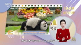 国产,日韩,欧美一区
